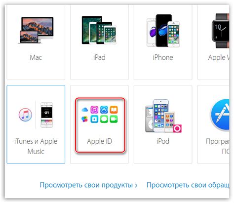 Обращение в службу поддержки Apple при возникновении трудностей с отключением возможностей оплаты