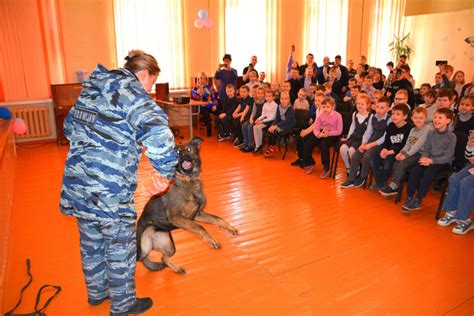 Обучение и профессиональные требования для занятия профессией кинолога в правоохранительных органах