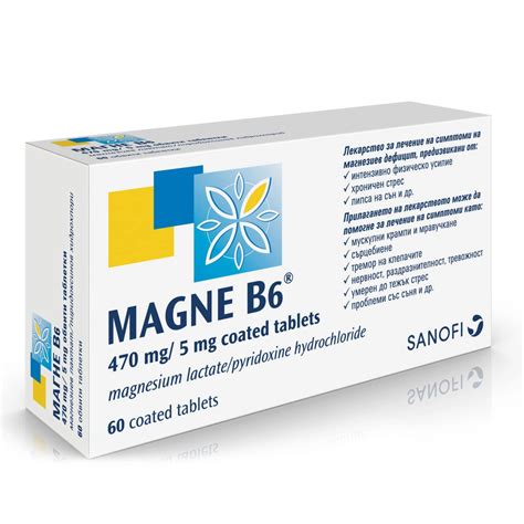 Общая история развития "Магния B6" и "Магне B6"
