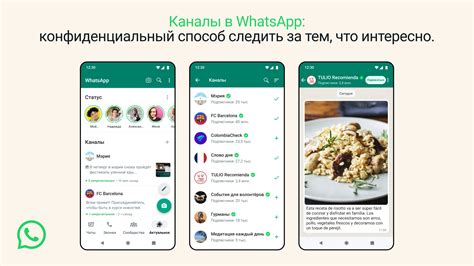 Ограничение доступа нежелательных собеседников в мессенджере WhatsApp