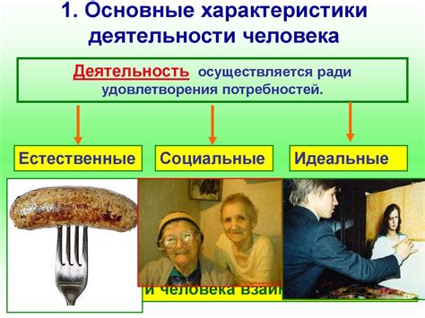 Оживленность человека: основные характеристики
