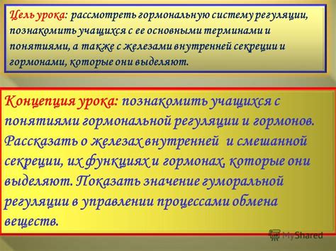 Ознакомление с основными понятиями и терминами