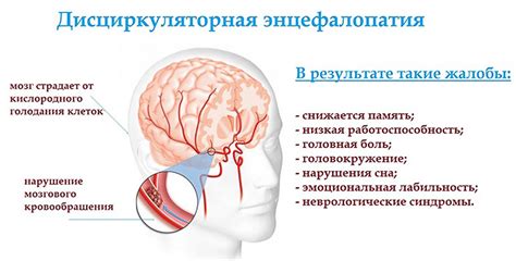 Ознакомьтесь с сущностью и функцией ДЭП