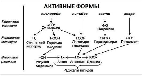 Окисление организма: симптомы и причины