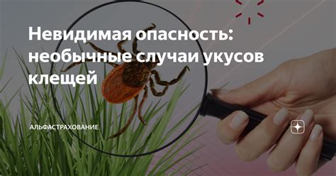 Опасность и распространение укусов клещей