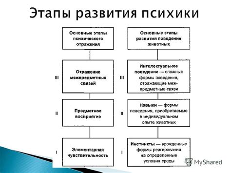 Описание основных функций и преимуществ