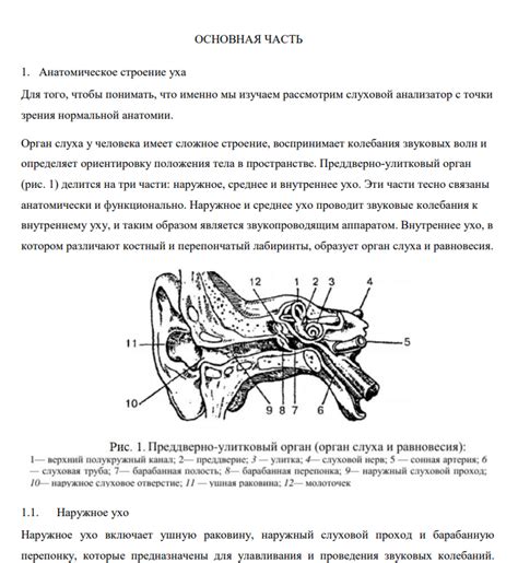 Описание проявления звуковых сигналов в слуховой системе