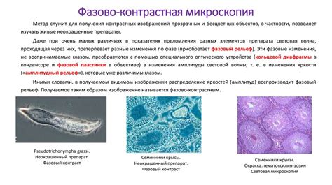 Определение гистологии и биопсии