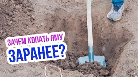Определение и выбор подходящего места для создания идеальной посадочной ямы