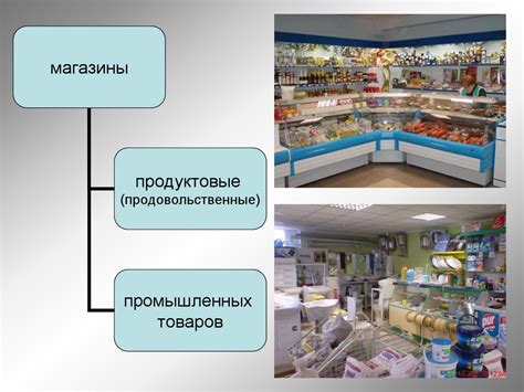 Определение и функции специализированных и универсальных торговых предприятий
