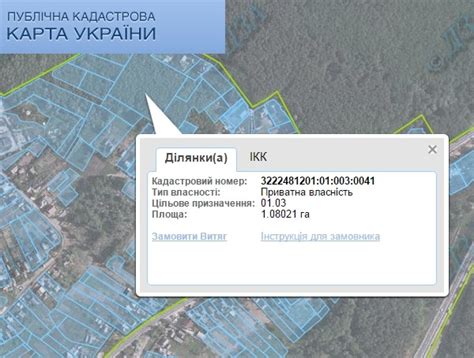 Определение кадастрового номера и его значение в оценке собственности