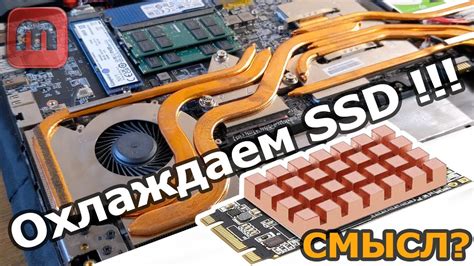 Определение модели SSD-диска на MacOS