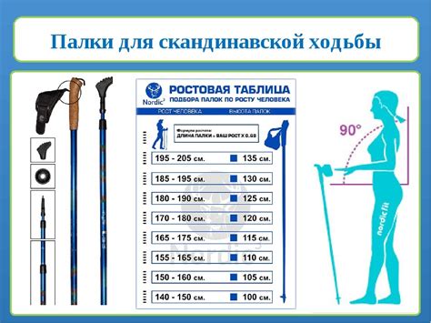Определение оптимальной длины палок для эффективной скандинавской ходьбы