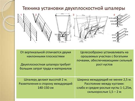 Определение оптимальной ориентации шпалеры