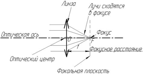 Определение основных компонентов линзы
