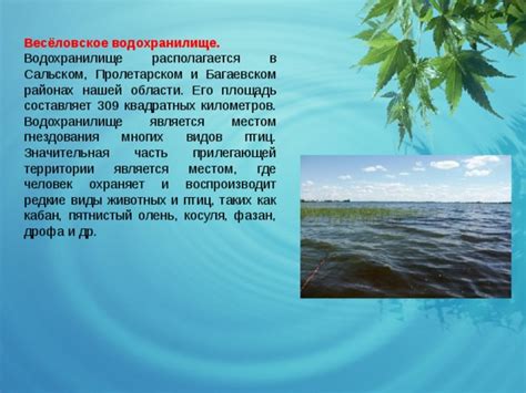 Определение правового положения водного ресурса и его прилегающей территории