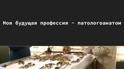 Определение причины смерти: как патологоанатомы проводят экспертизу