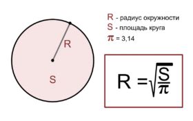 Определение размеров и радиуса фигуры в игре