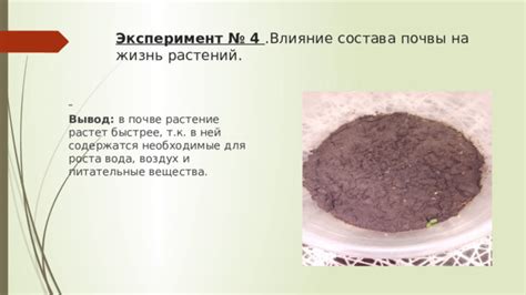 Определение состава органического вещества в почве: разнообразные методы и подходы