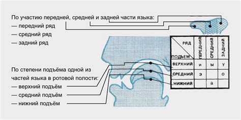 Определение средств и звучания