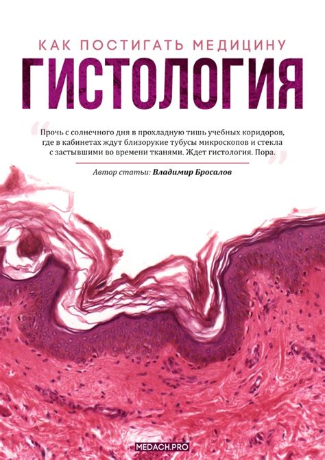 Определение стадии заболевания с помощью гистологии