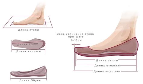 Определение типа стопы для подбора соответствующей обуви