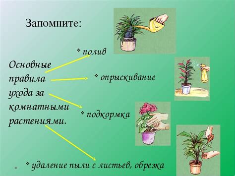 Определение характеристик растения для эффективного ухода