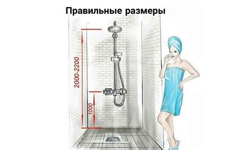 Оптимальная высота размещения перекладин для кур: ключевые направления