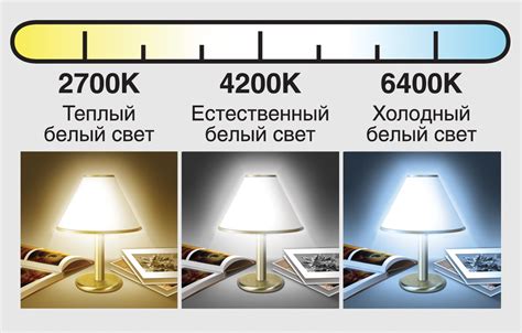 Оптимальная температура и освещение в террариуме