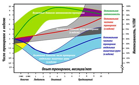 Оптимальная частота проведения АМТ: советы и рекомендации врачей