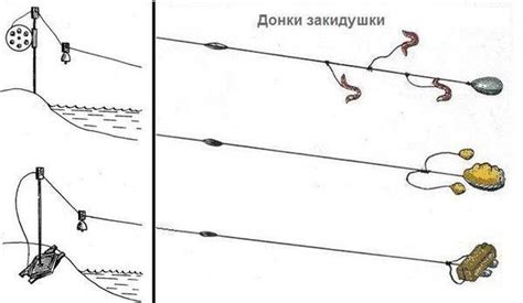 Оптимальное время и место для ловли сазана
