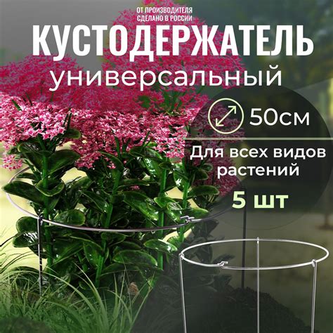 Оптимальное время и методы укрытия кустов садовых цветов