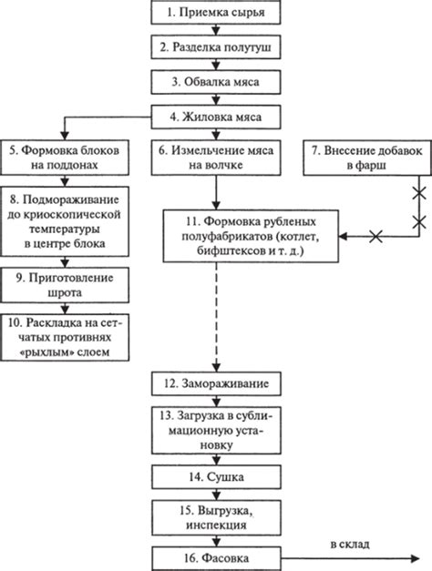 Оптимальное время и продолжительность процесса сушки орехов