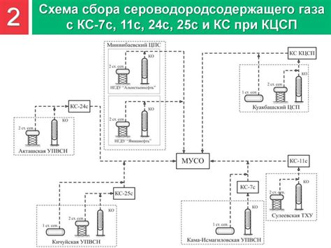 Оптимальное время сбора и подготовки ингредиентов