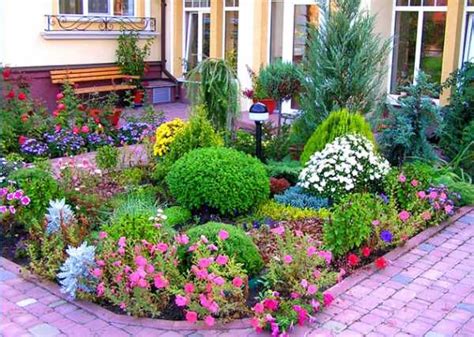 Оптимальное место для размещения растения: важные нюансы