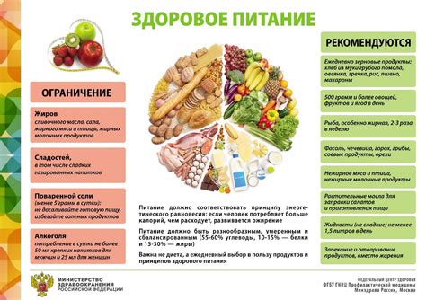 Оптимальное питание для здорового развития щенка: руководство по составлению специального рациона