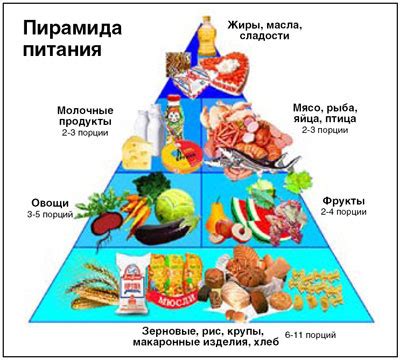 Оптимальное питание для поддержания здоровья