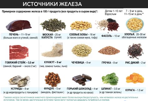 Оптимальное питание для поддержания нормального уровня железа в организме