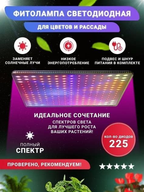 Оптимальные параметры света для успешной рассады растений