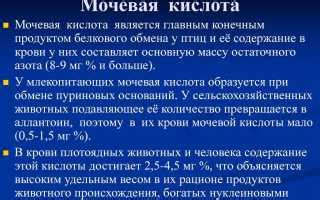 Оптимальные подходы к обращению с повышенным количеством микроорганизмов в моче