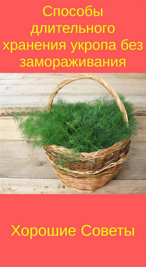 Оптимальные способы замораживания для длительного хранения