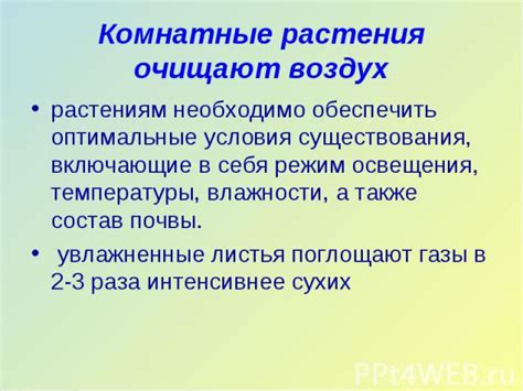 Оптимальные условия температуры и освещения