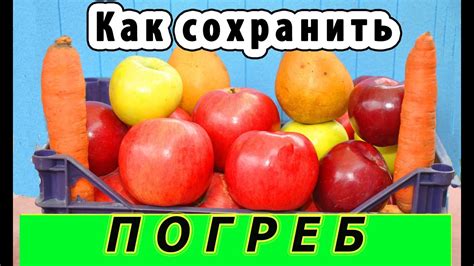 Оптимальные условия хранения овощей и фруктов