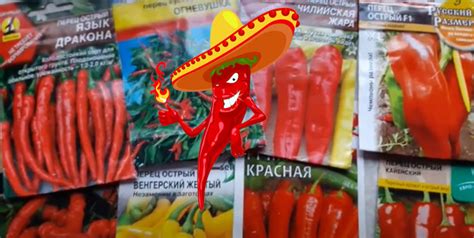 Оптимальный момент для освобождения пикантного перца от своих семян