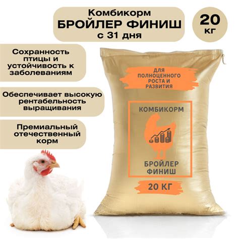Оптимальный рацион для кормления кур-бройлеров