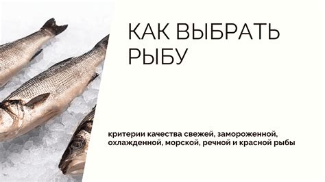 Оптимальный режим и продолжительность процесса дымления свежей морской рыбы