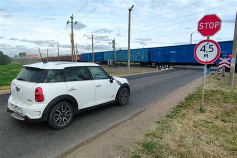 Опыт других стран в предотвращении столкновений автомобилей с голубями
