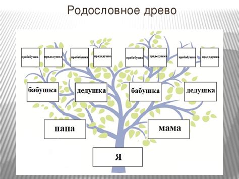 Организационная и структурная устройство родовой семьи