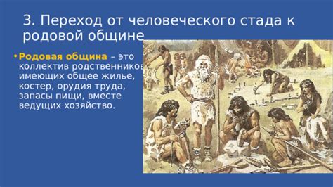 Организация и иерархия: сравнение родовой общины и человеческого стада