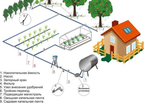 Организация системы полива и освещения на участке